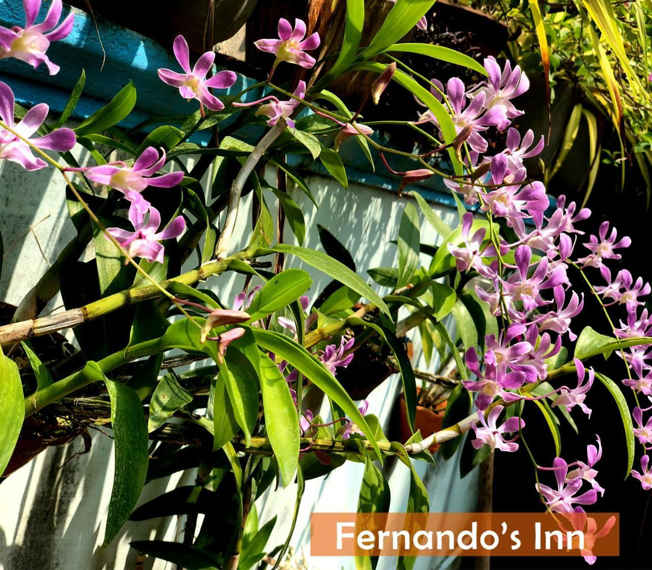 Fernando'S Inn Negombo Kültér fotó